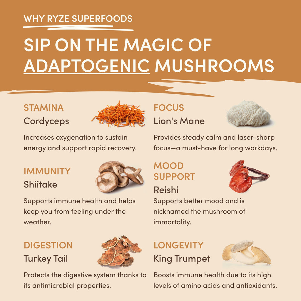 RYZE 14-Serving Mushroom Overnight Oats