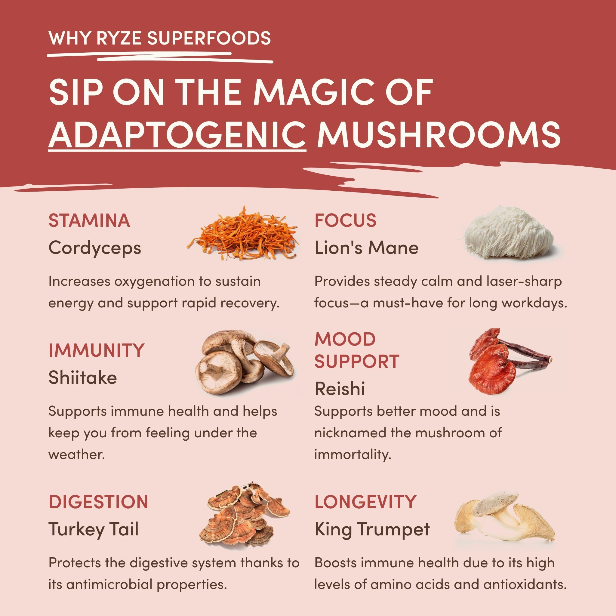RYZE 20-Serving Mushroom Chai